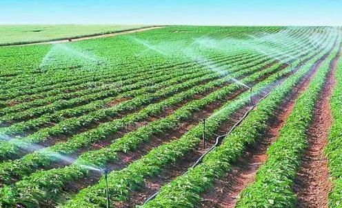 好想操在线手机视频农田高 效节水灌溉